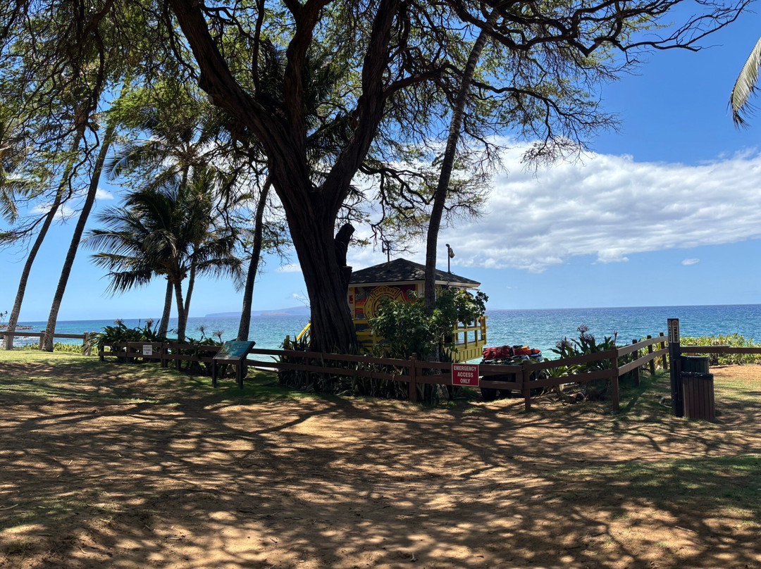 卡玛乐沙滩公园3-基黑必去景点