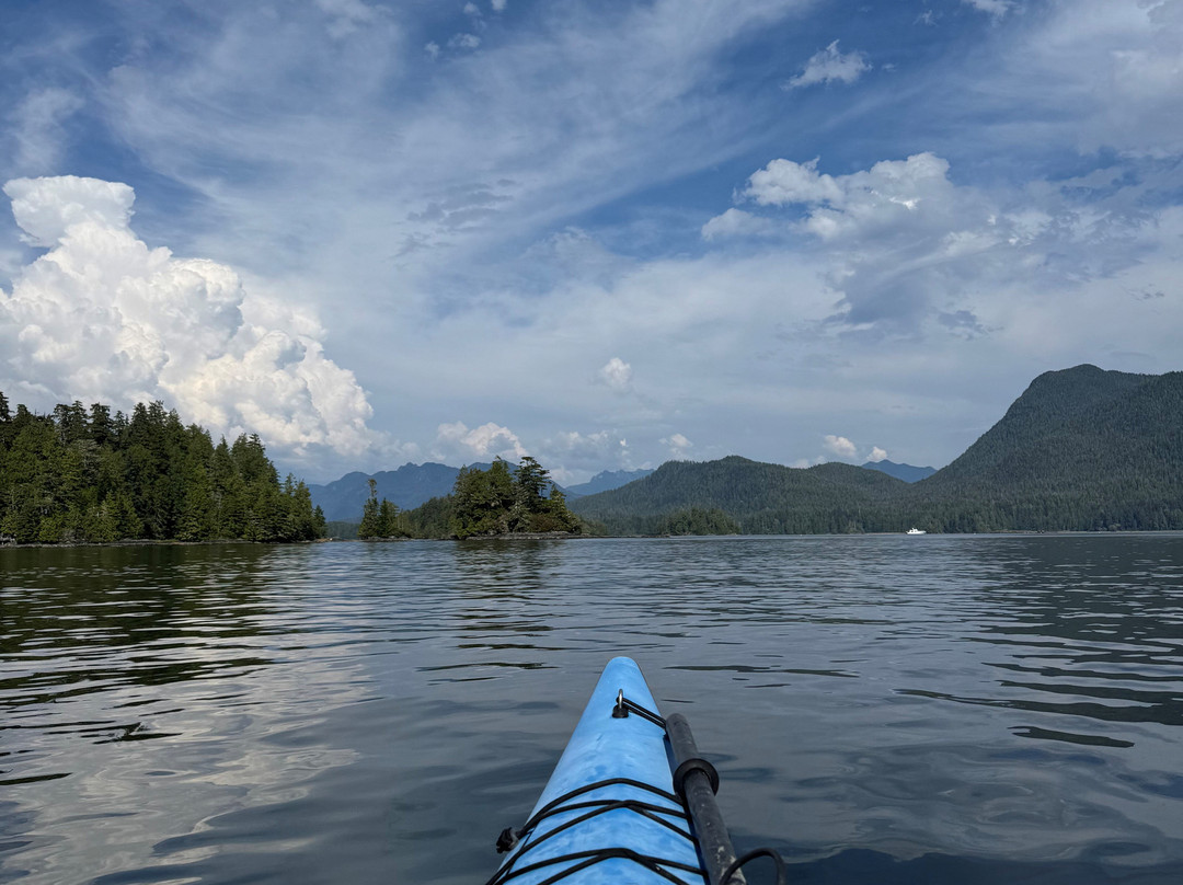Tofino Sea Kayaking Day Tours-托菲诺必去景点
