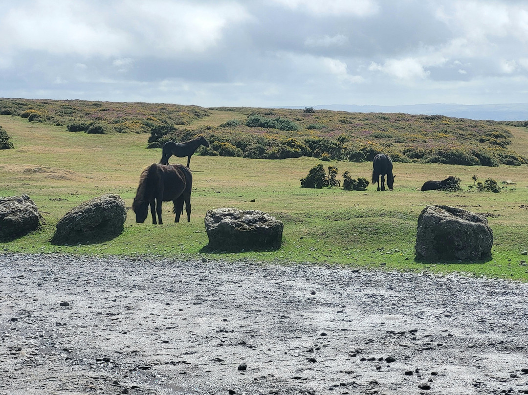 National Park Visitor Centre - Haytor-达特穆尔国家公园必去景点