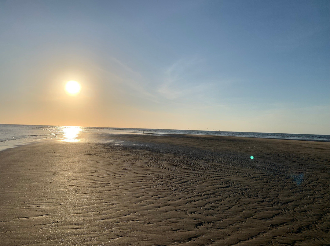 Croc and Crab Tours Karumba Day Tours-Karumba必去景点