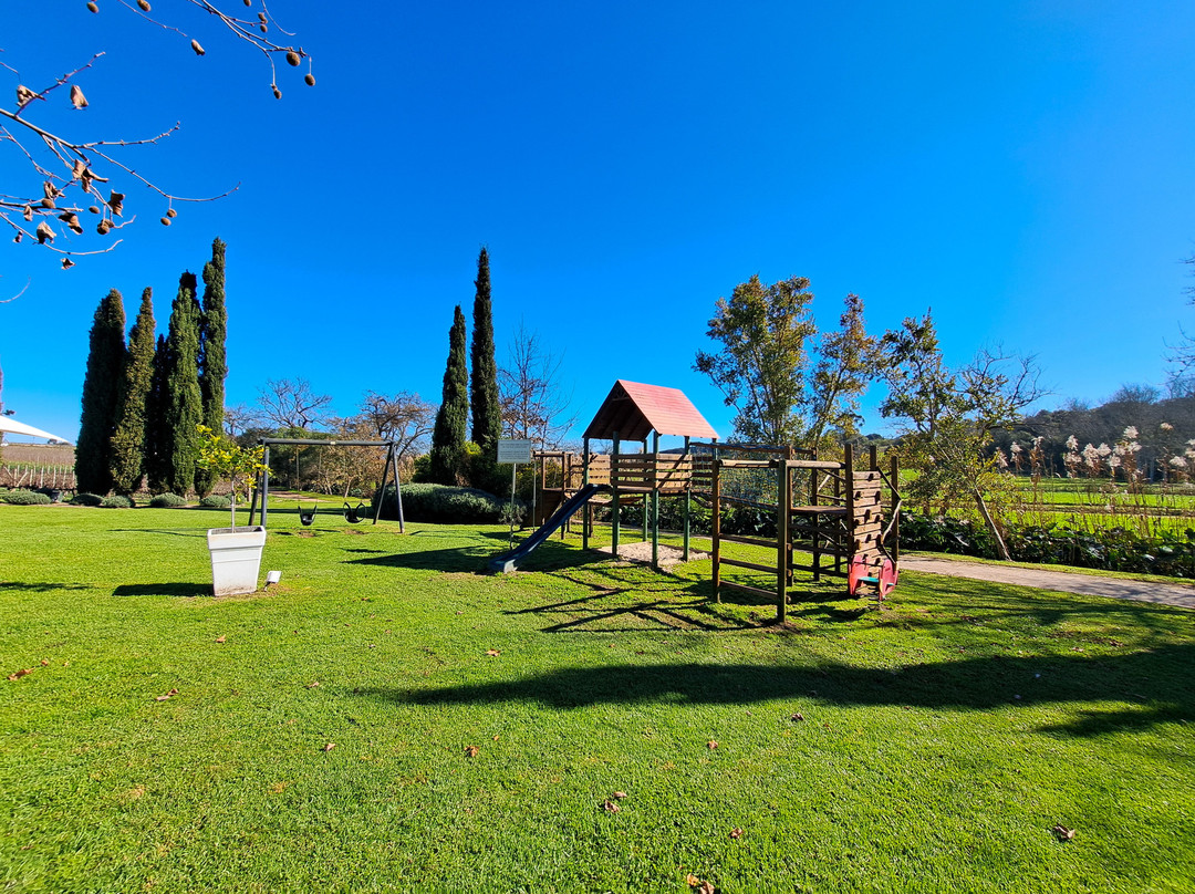 Peter Falke Winery-斯泰伦博斯必去景点