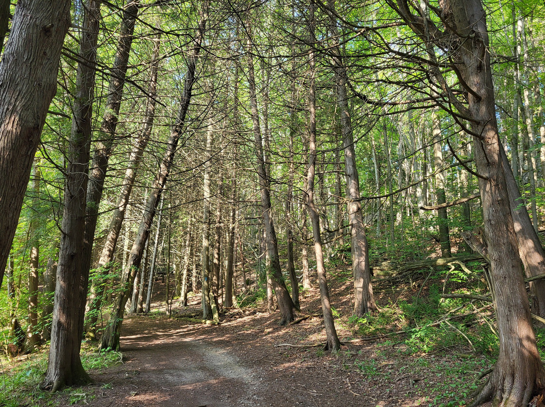 Mono Cliffs Provincial Park-Mono必去景点