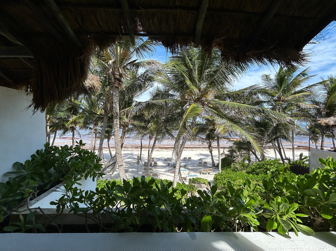 图卢姆小屋主图