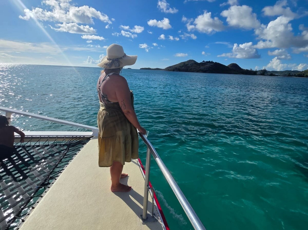 Wadadli Cats-安提瓜必去景点