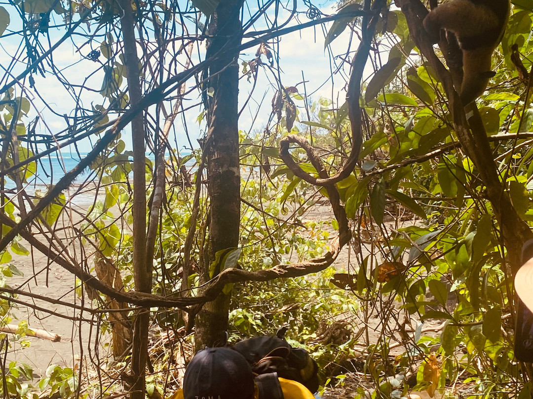 Rancho Tropical-希门尼斯港必去景点