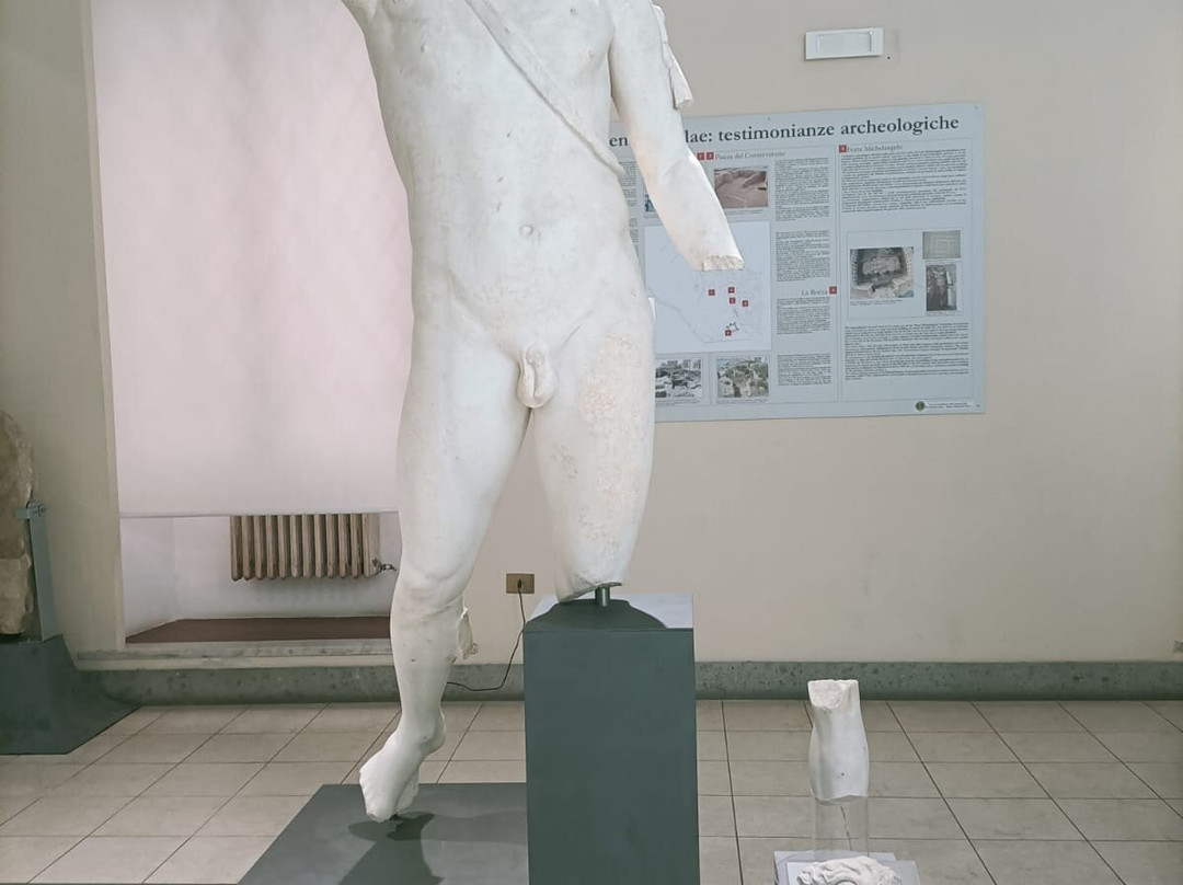 Museo Archeologico Nazionale - Civitavecchia-奇维塔韦基亚必去景点