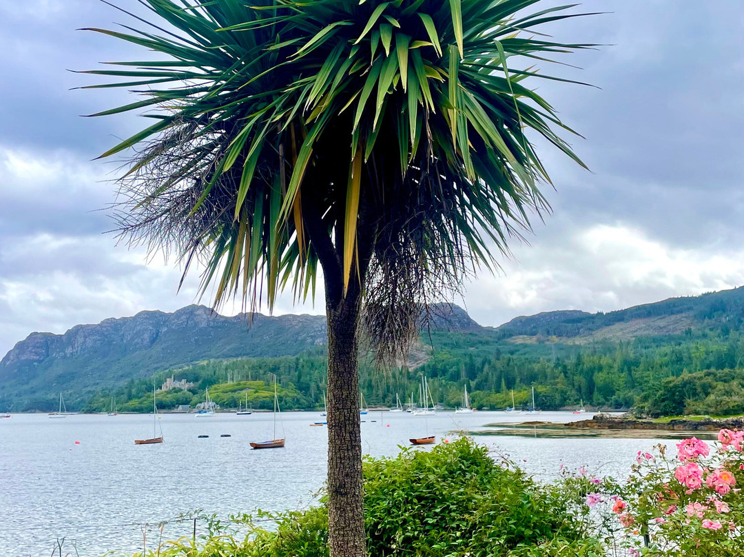 Plockton Harbour-Plockton必去景点