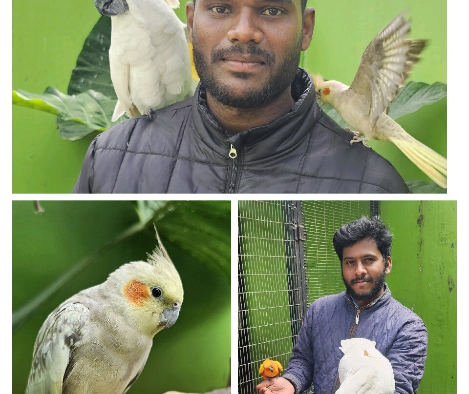 Fundera Park-Yelagiri必去景点