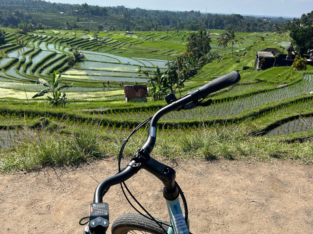 Jatiluwih Cycling & E-bike Tours With Bali By Pedals-达巴南必去景点