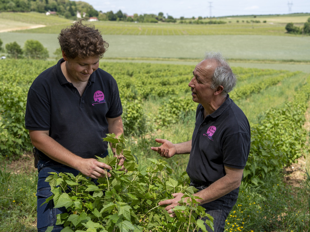 Ferme Fruirouge-夜圣乔治必去景点