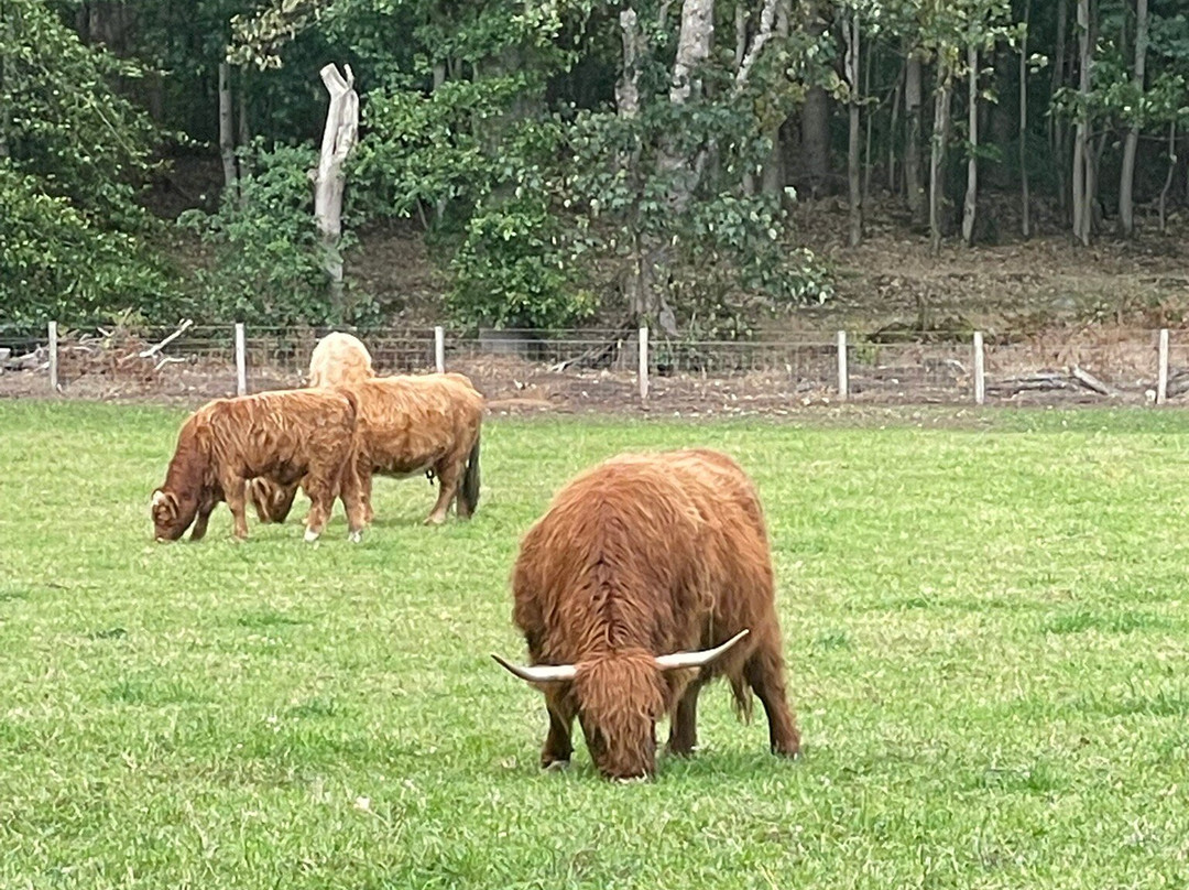 Aberdeenshire Tours-阿伯丁必去景点
