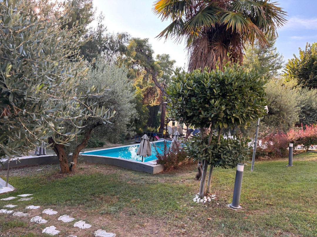 Avatel Eco Lodge主图