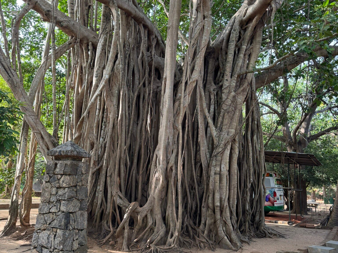 Lion Rock-锡吉里亚必去景点
