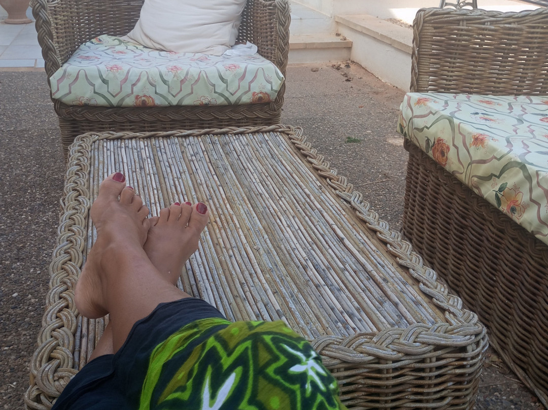 Delle Rose Horses Club主图