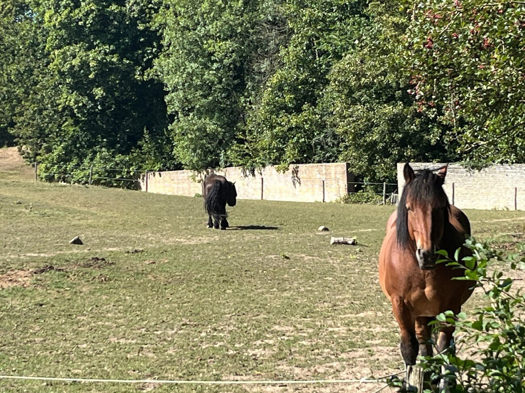Abbaye du Rouge Cloitre-奥德尔赫姆必去景点