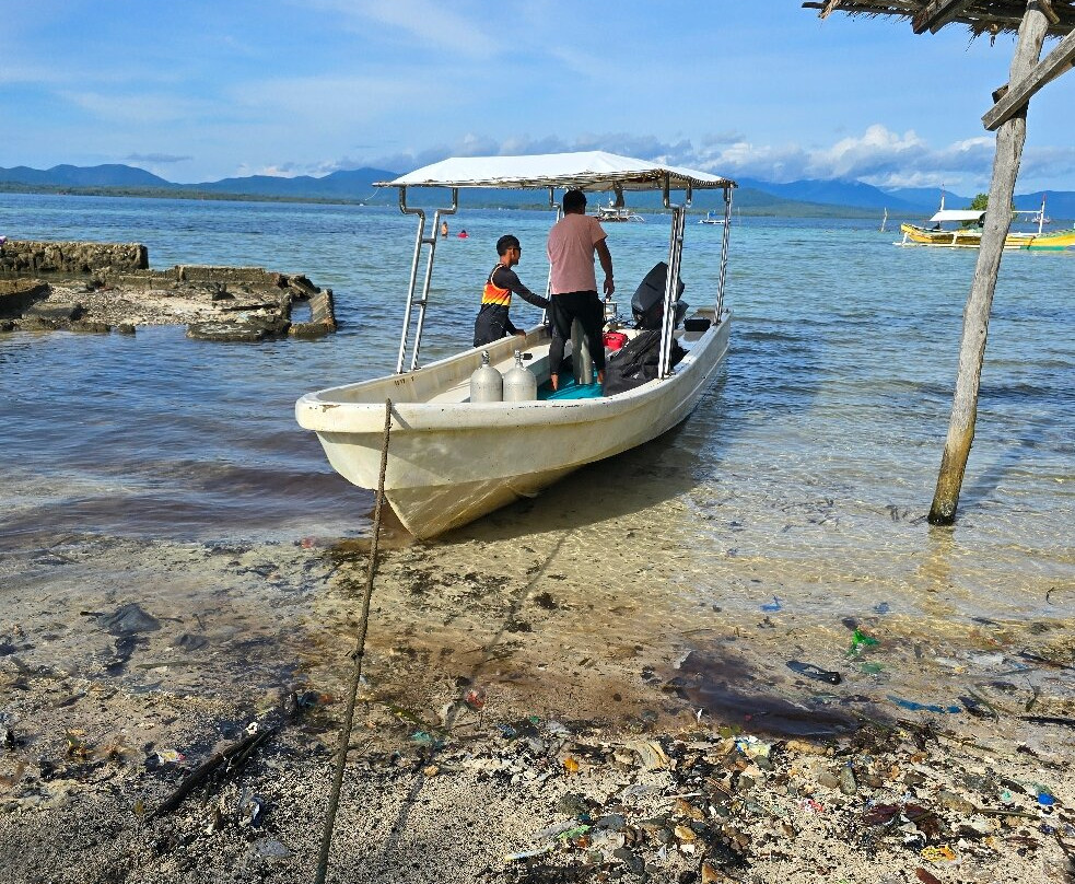 Divepuertoprincesa Dive Center-公主港必去景点