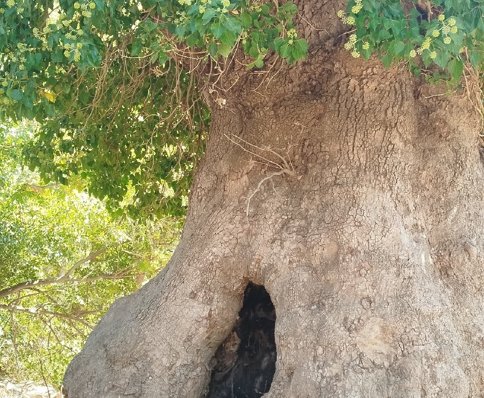 Cascadele Theologos-Theológos必去景点