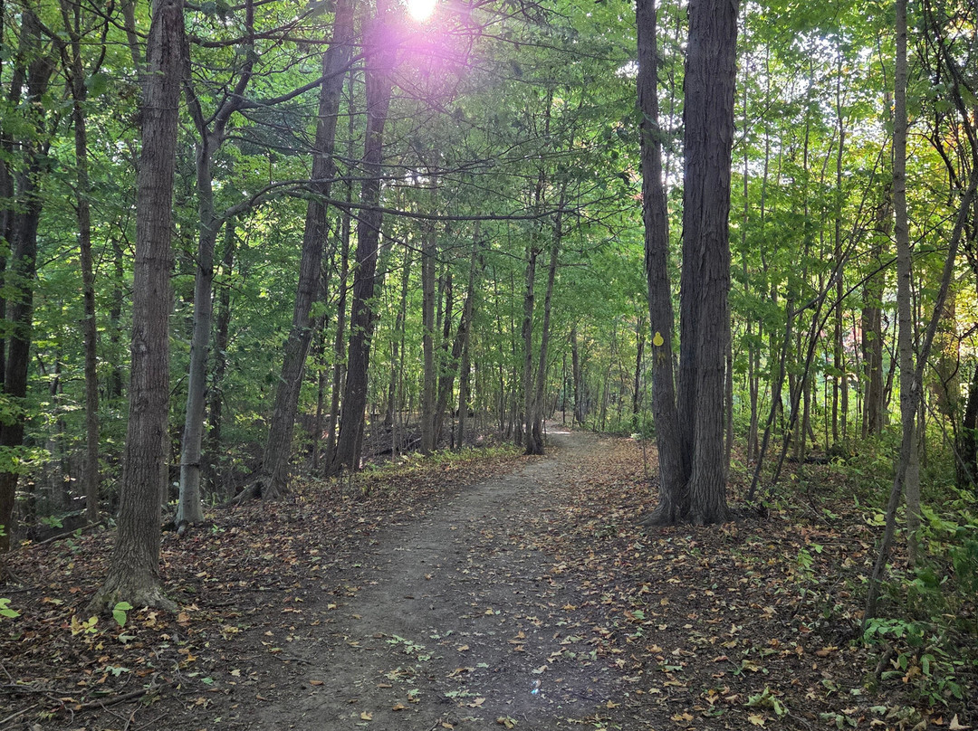 Westminster Ponds-伦敦必去景点