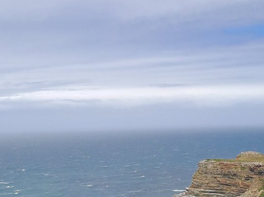 Cape & Company-斯泰伦博斯必去景点