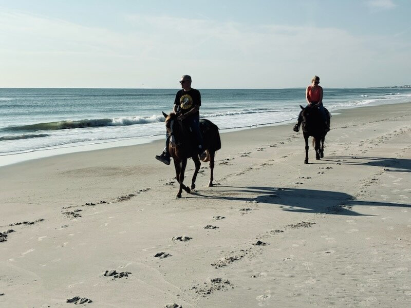 Happy Trails Walking Horses-费尔南迪纳岛必去景点