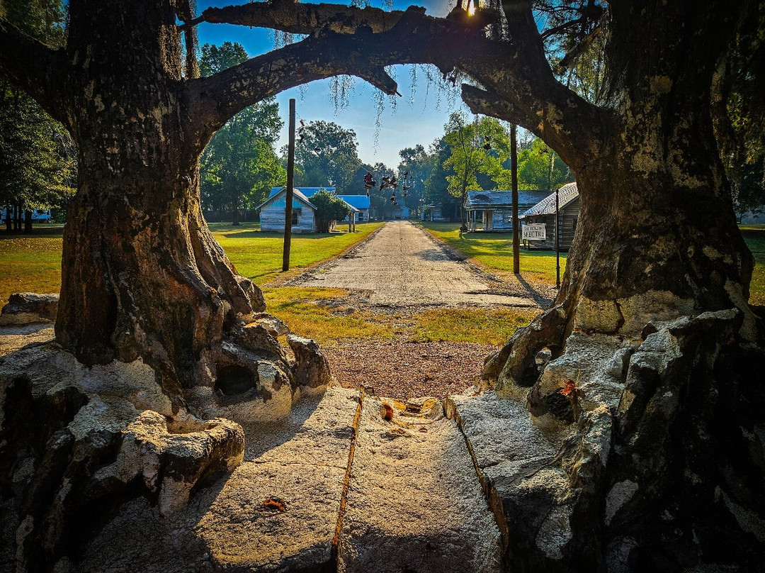 Jackson Lake Island-Millbrook必去景点