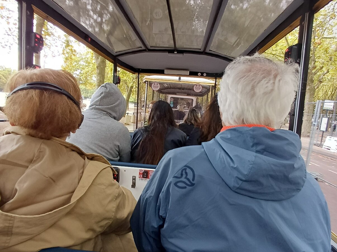 France Voguette Bordeaux En Train Touristique Électrique-波尔多必去景点