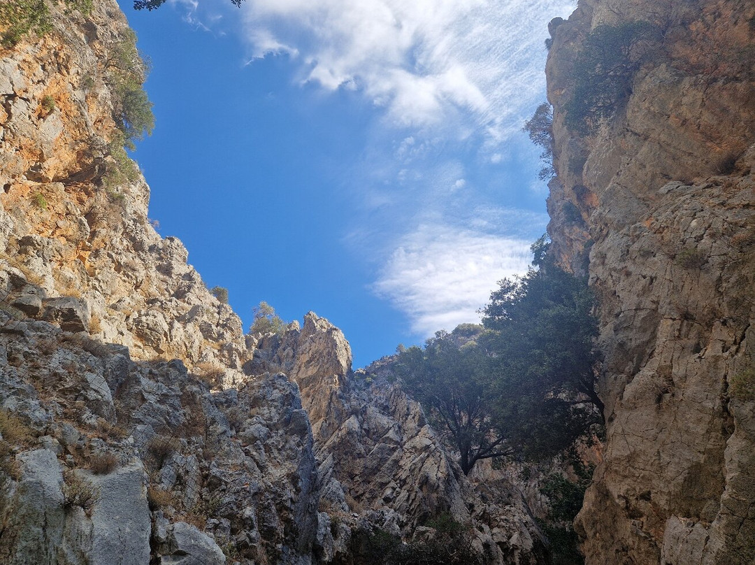 Kritsa Gorge-Kritsa必去景点