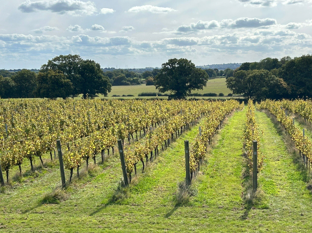 Woodchurch Vineyard-Woodchurch必去景点