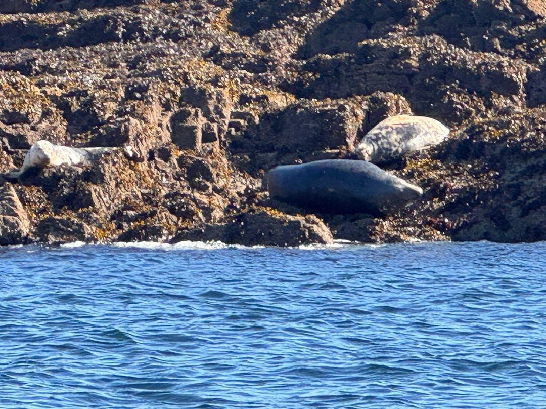 Kingfisher Coastal Charters-Newlyn必去景点