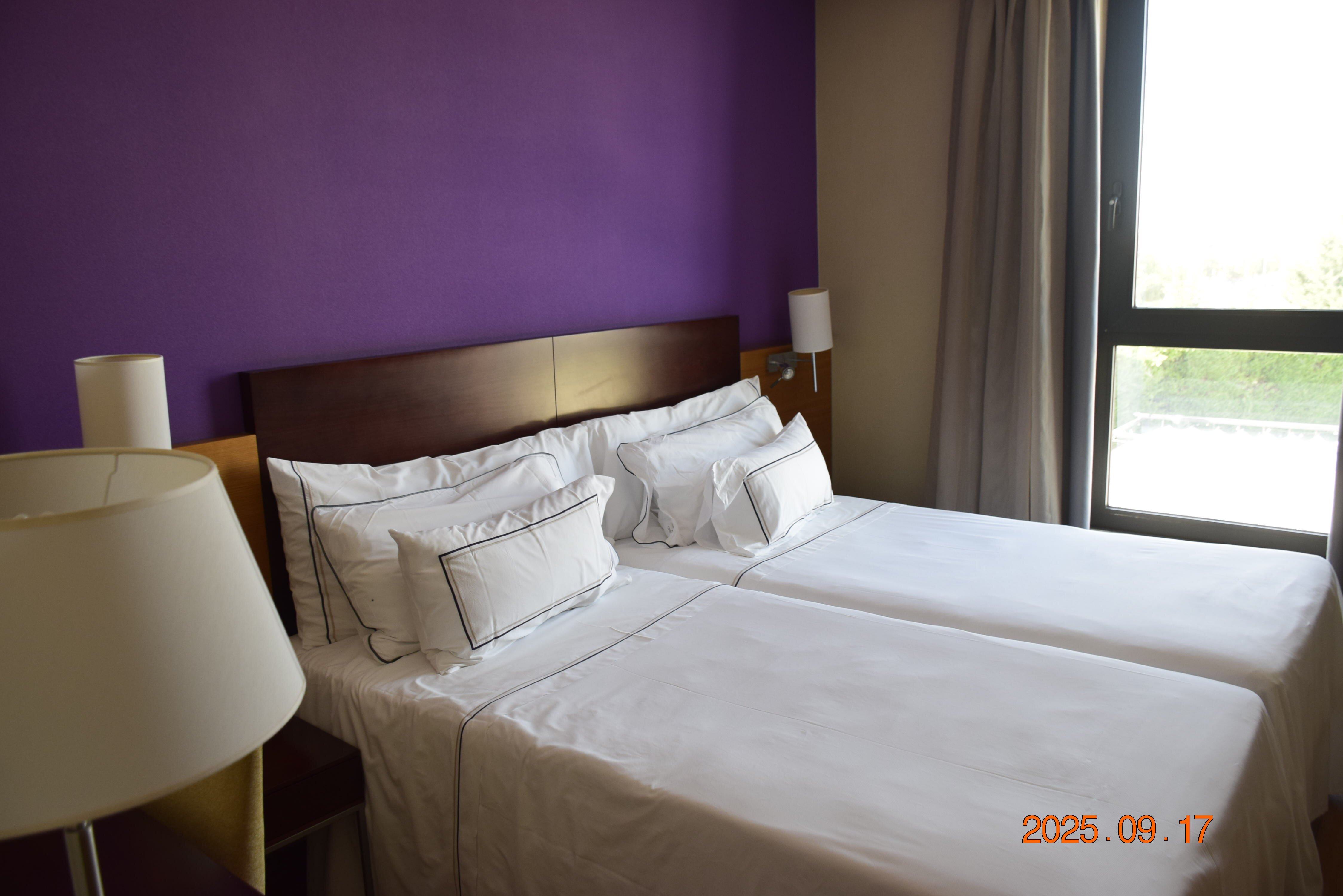 Hotel Salamanca Montalvo-客卧