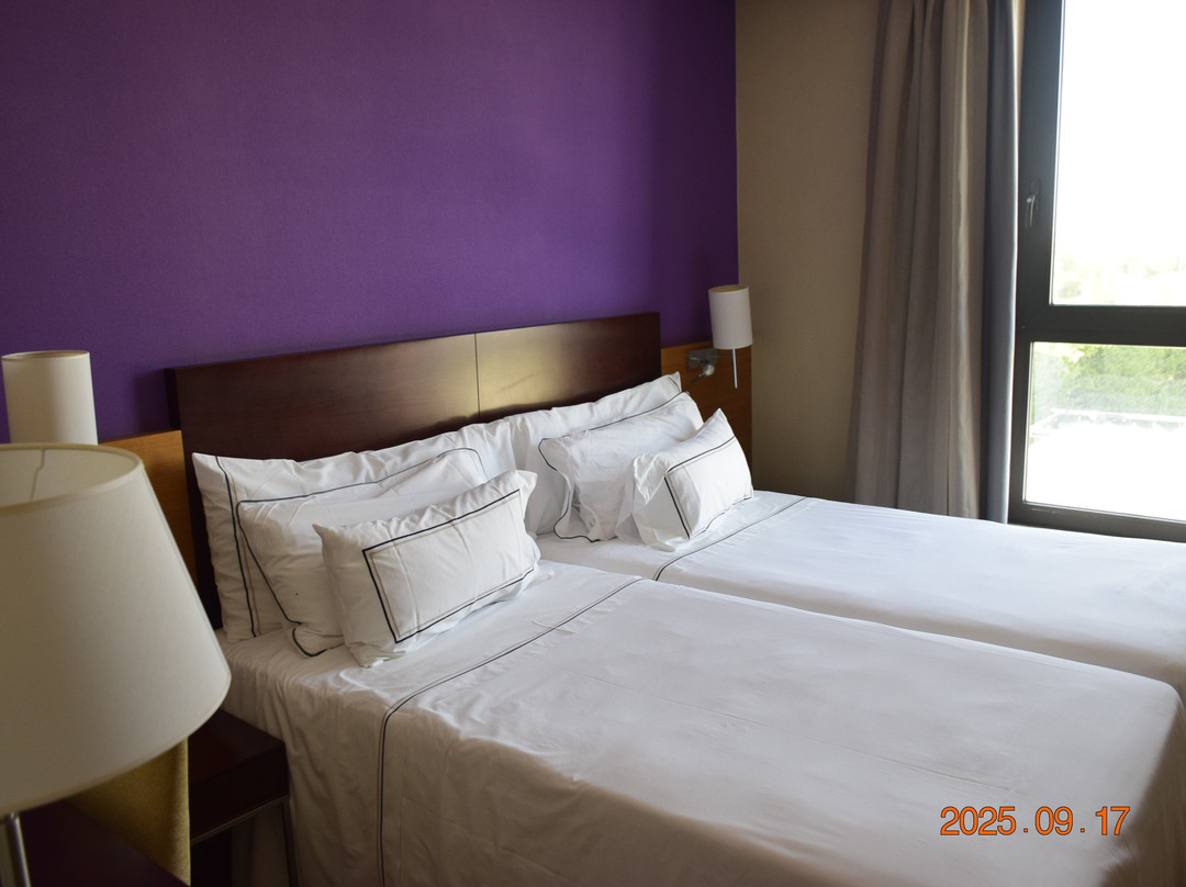 Hotel Salamanca Montalvo主图