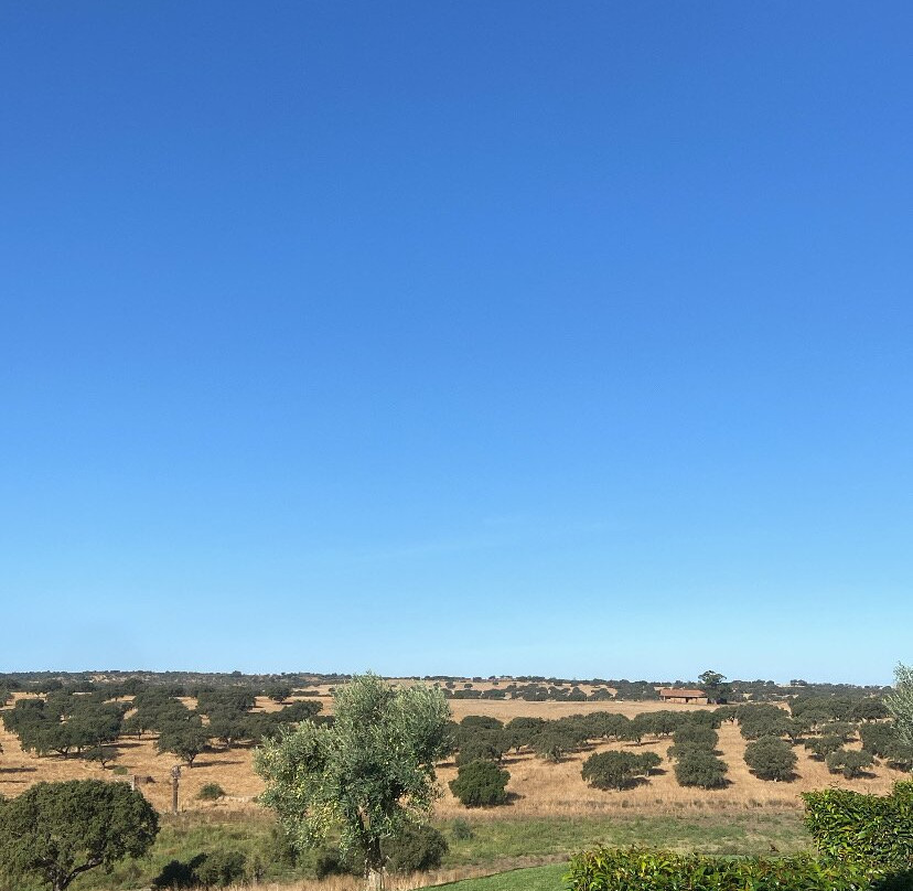 Vila Galé Collection Monte Do Vilar主图