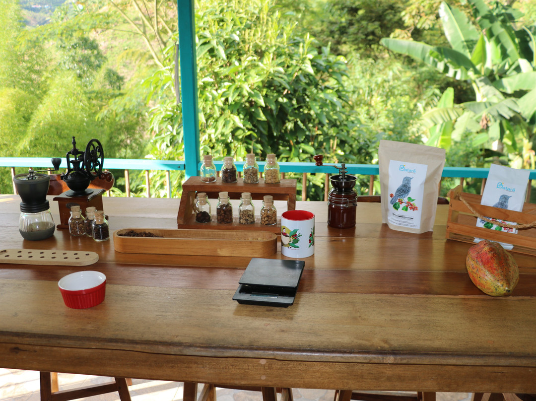 La Union Coffee Farm - Coffee & Fruits Tours-佩雷拉必去景点