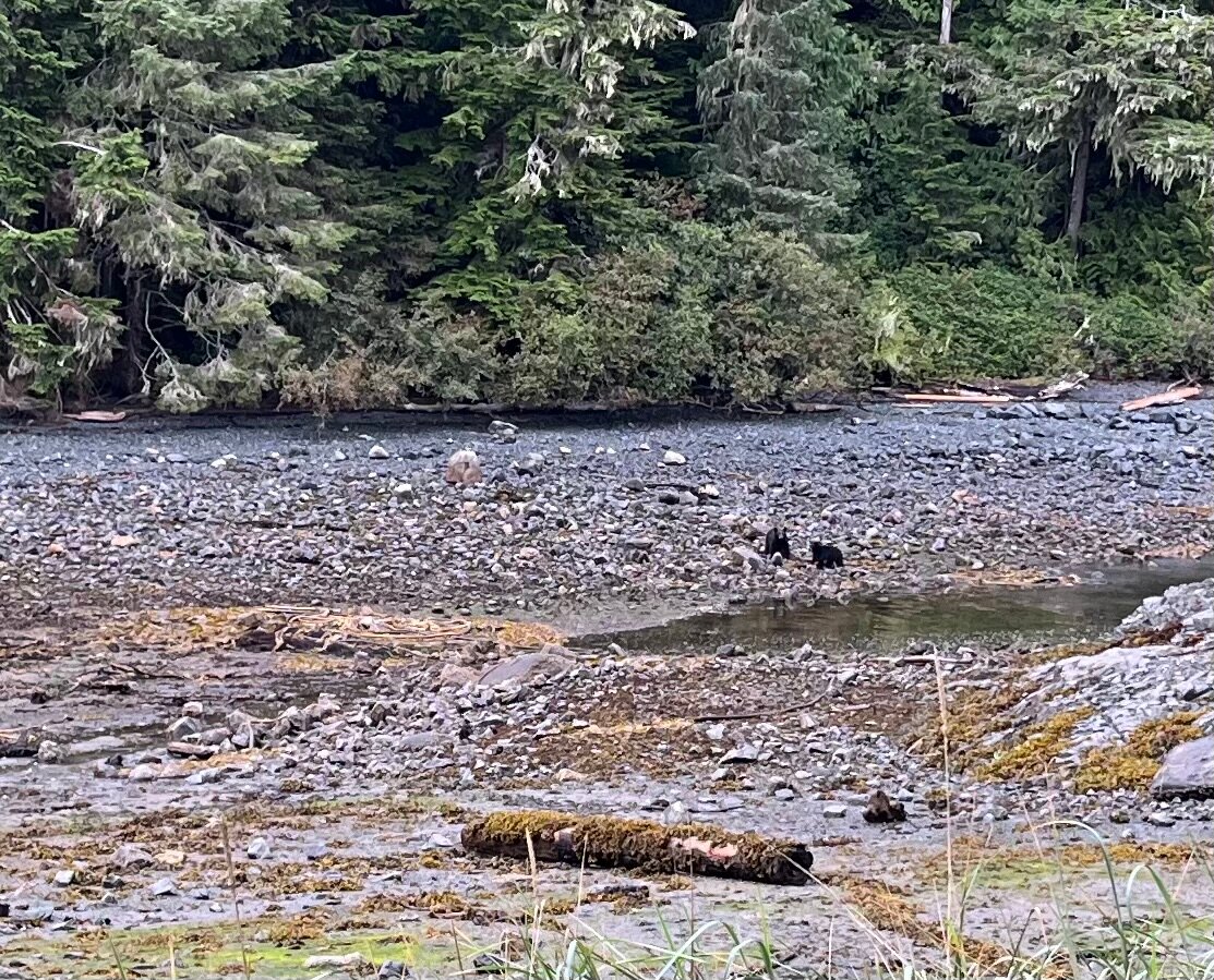 Hidden Cove Lodge-官方