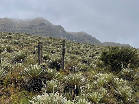 Laguna Negra-Mongui必去景点