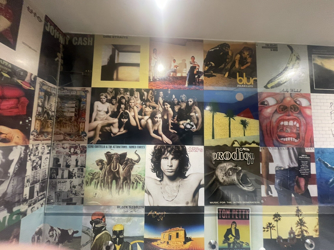 The Dabbling Duck主图