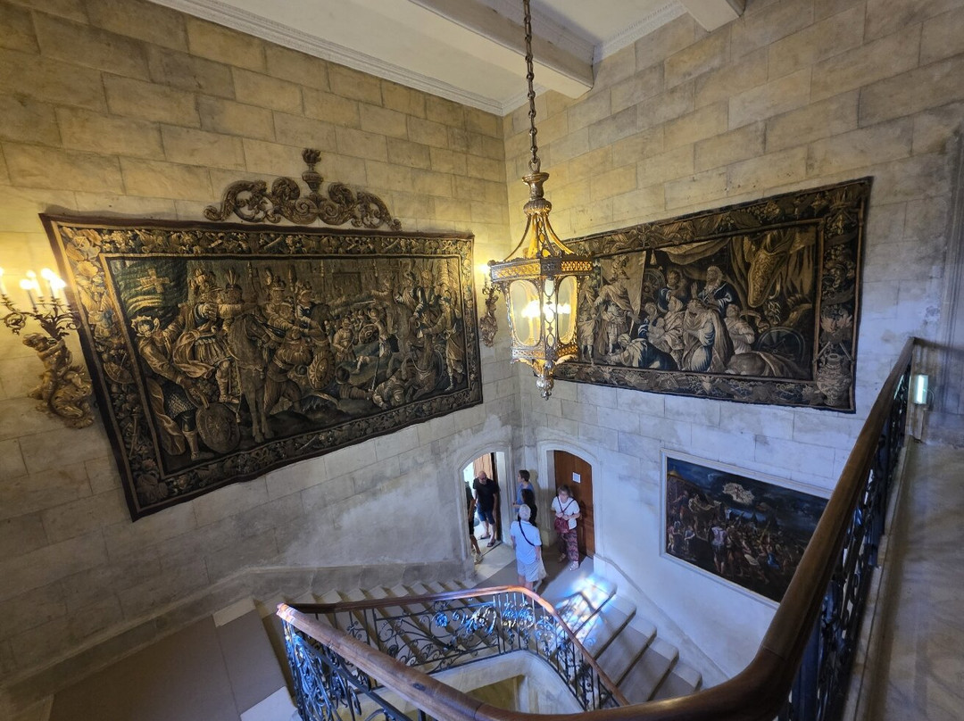 Château de Grignan-格里尼昂必去景点