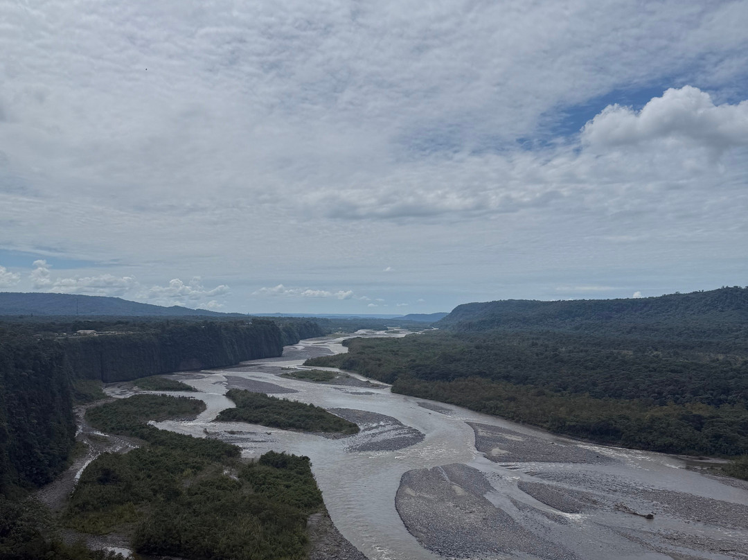绿色家庭旅馆主图