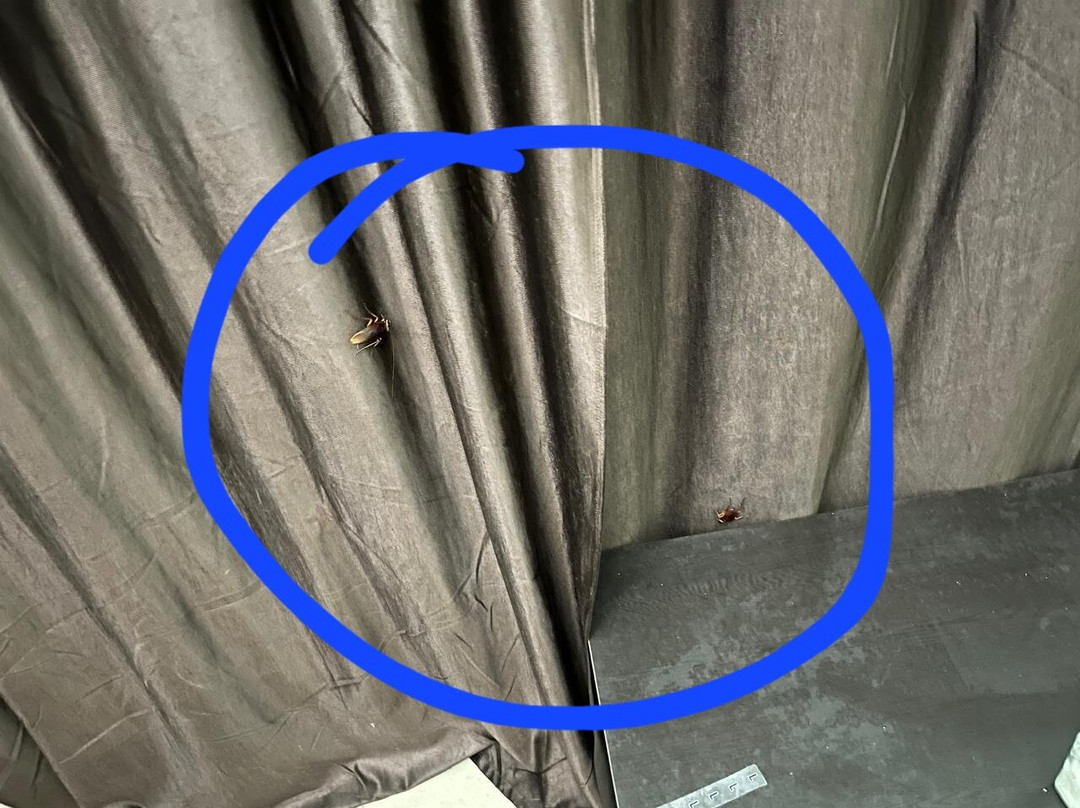 Star Inn Resort主图