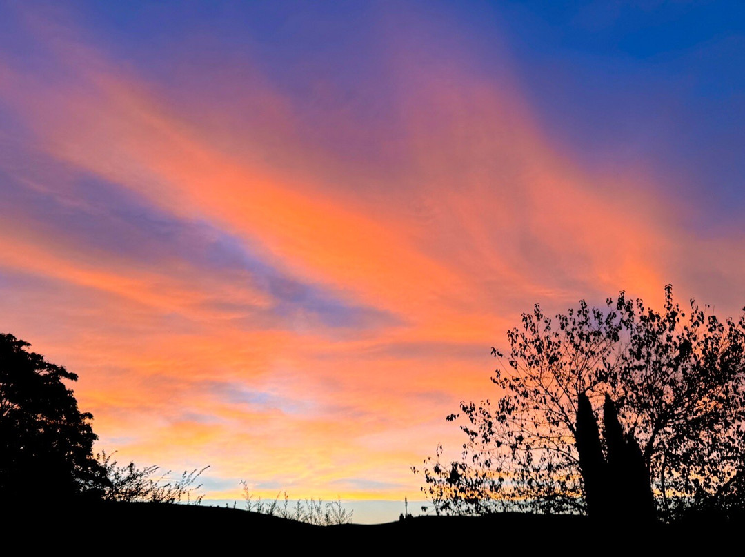 Agriturismo San Fabiano主图