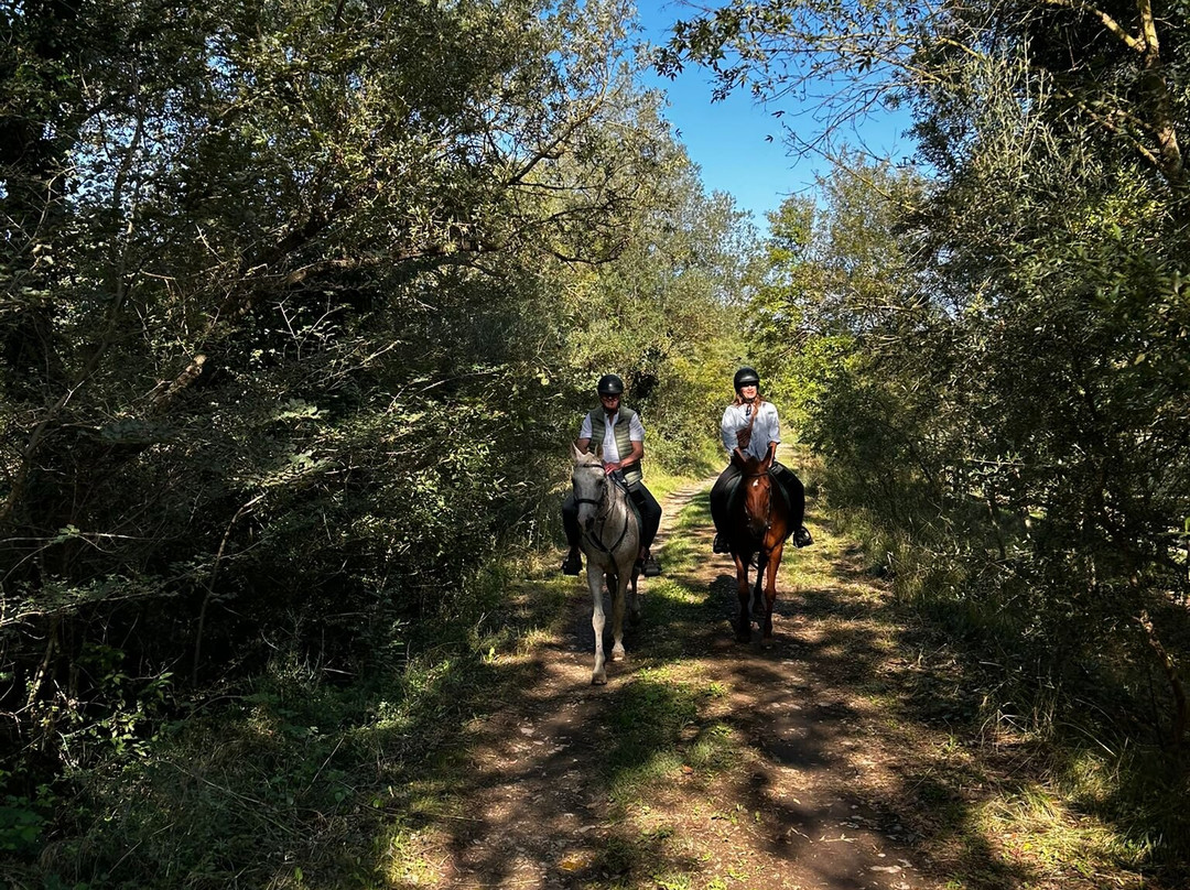 Cal Robusto Turisme Eqüestre-休拉纳必去景点