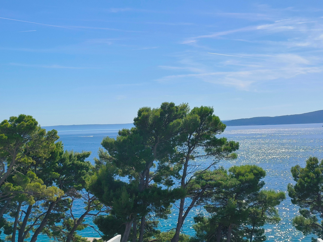 Bluesun Hotel Berulia主图