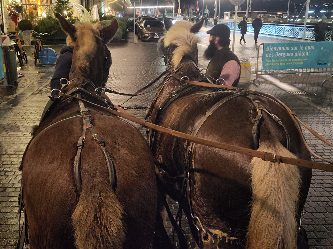 Les Attelages du Léman-Vernier必去景点
