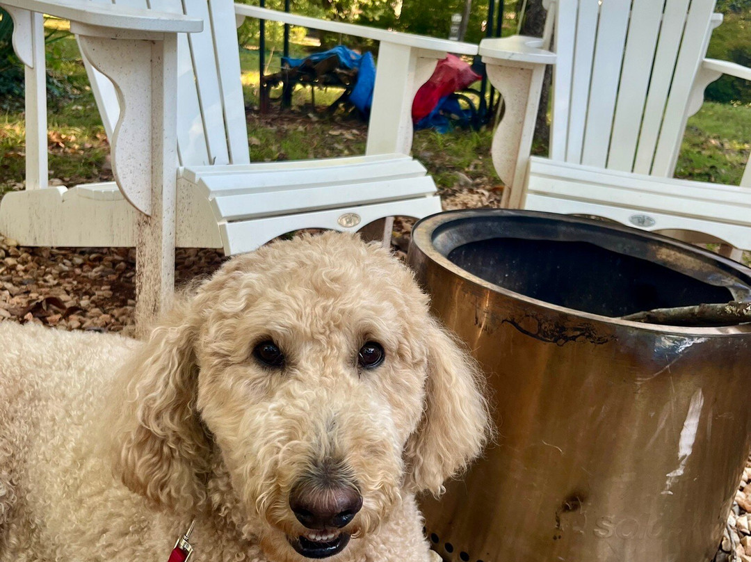 奥克赫斯特酒店主图