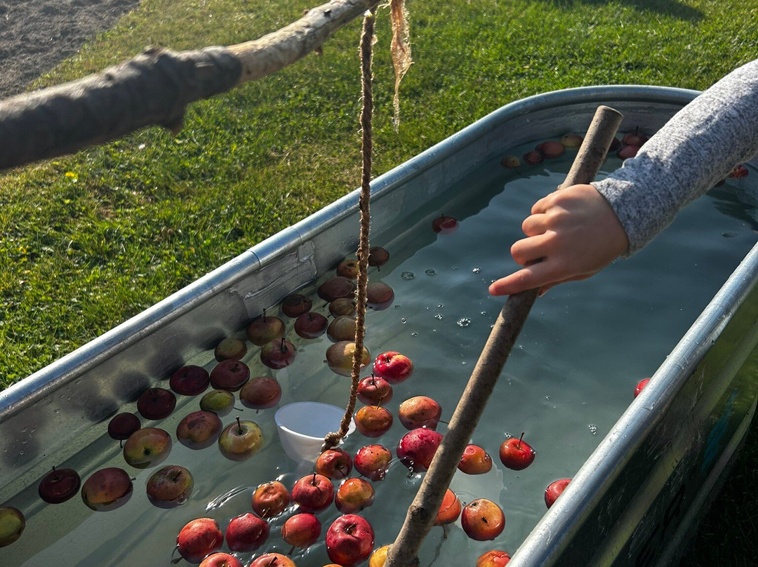 The Peca Farm-亨茨维尔必去景点