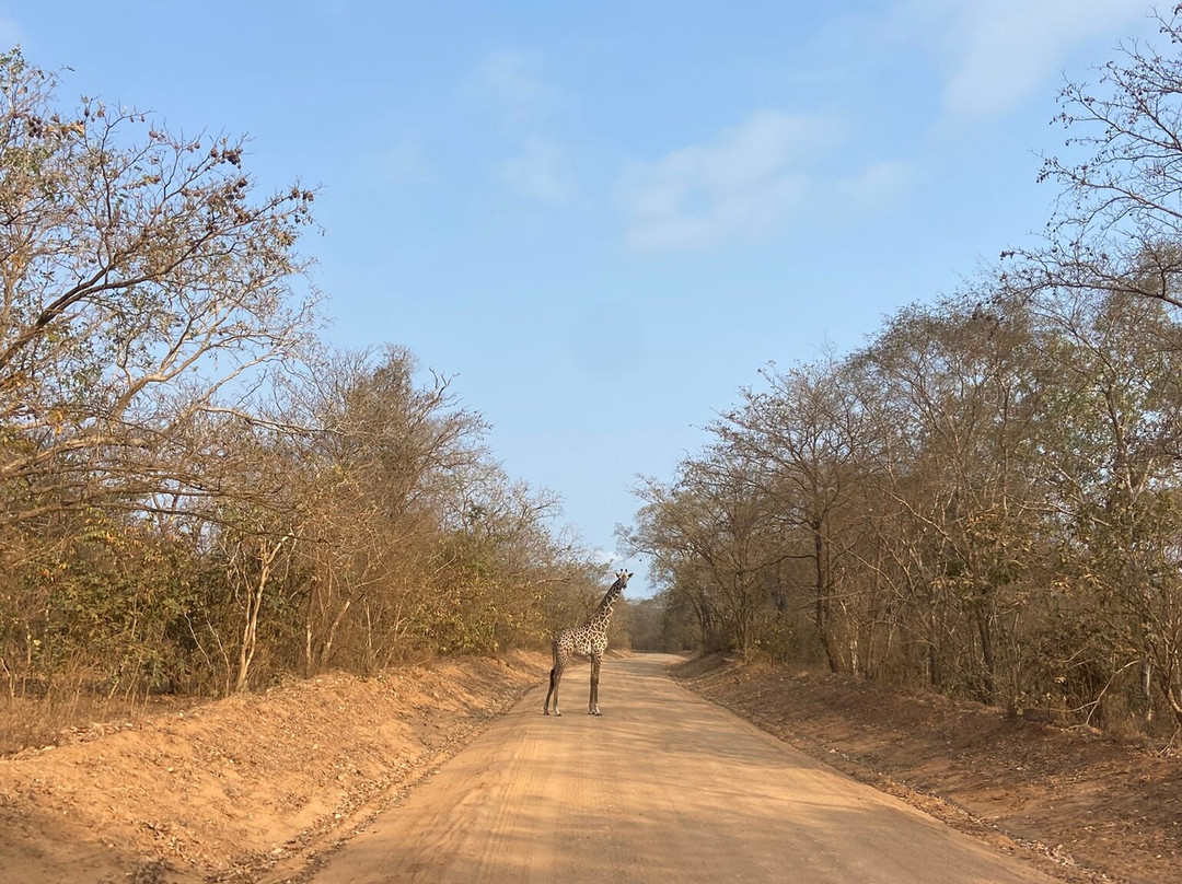 Asante Bibi Safaris And Tours-莫西必去景点