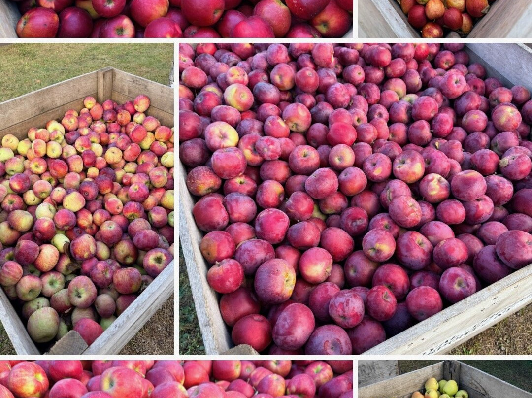 Pumpkinville-Great Valley必去景点