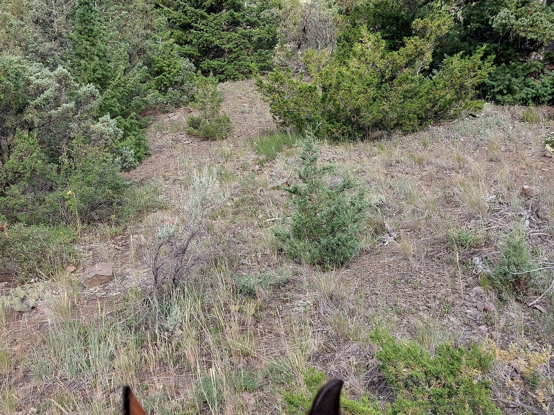 Bill Cody Ranch主图