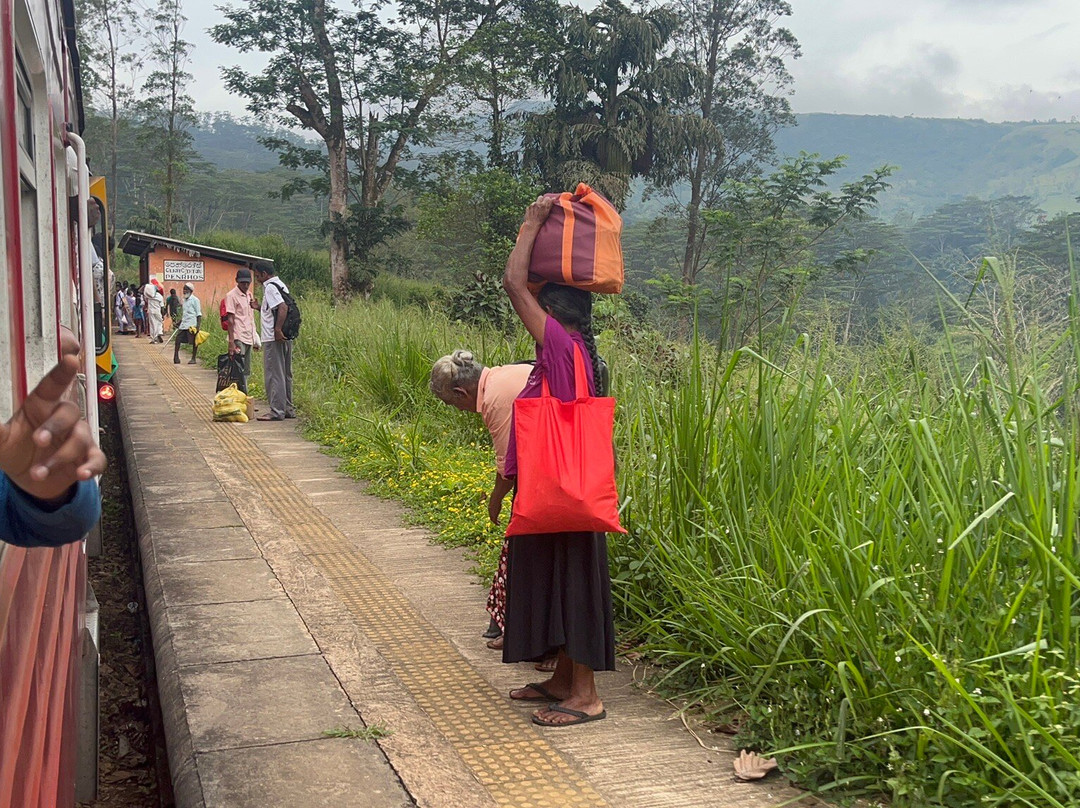 Nanuoya To Ella Train Ride-Nanu Oya必去景点