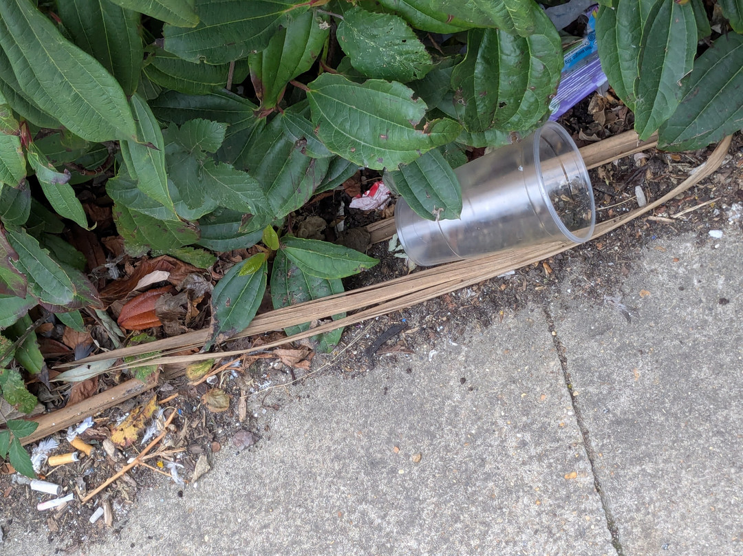 普瑞米尔纽黑文酒店